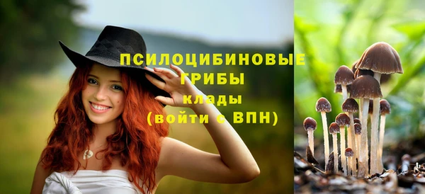 ПСИЛОЦИБИНОВЫЕ ГРИБЫ Заводоуковск