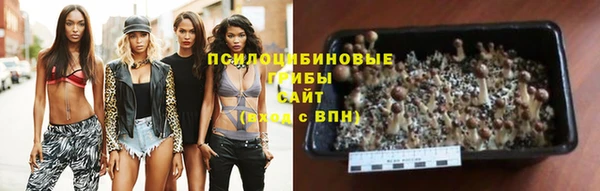дурь Заволжье