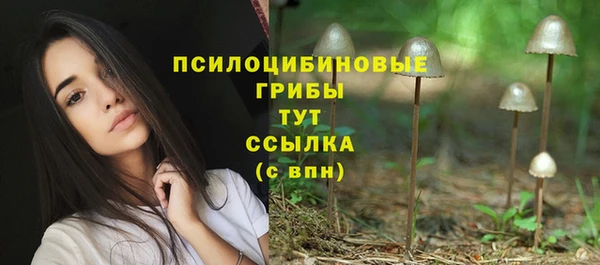 ПСИЛОЦИБИНОВЫЕ ГРИБЫ Заводоуковск