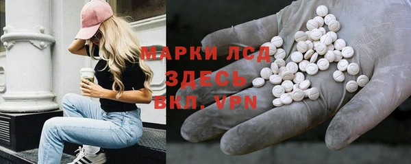 ПСИЛОЦИБИНОВЫЕ ГРИБЫ Заводоуковск