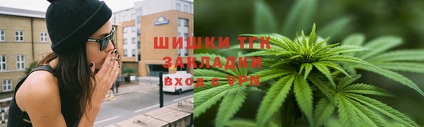 шишки Грязовец