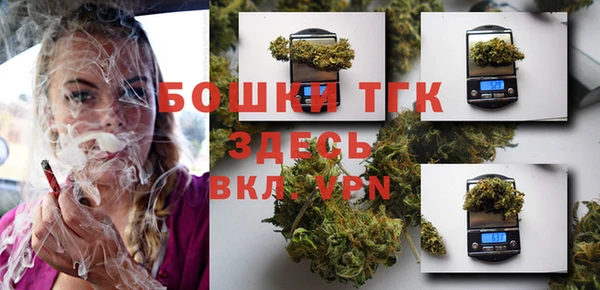 ПСИЛОЦИБИНОВЫЕ ГРИБЫ Заводоуковск