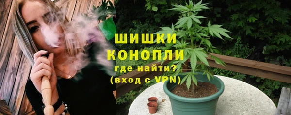 ПСИЛОЦИБИНОВЫЕ ГРИБЫ Заводоуковск