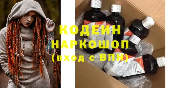 шишки Грязовец