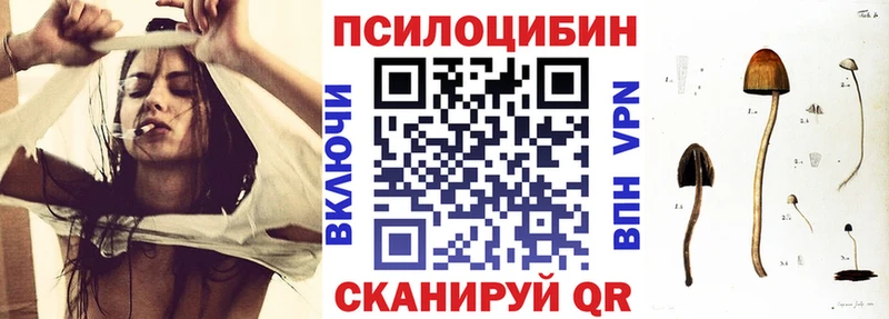 наркошоп  Инсар  гидра вход  Псилоцибиновые грибы Psilocybe 